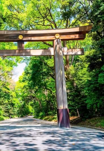 Tokyo: Shinjuku Gyoen, Meiji Shrine, and Shibuya Tour