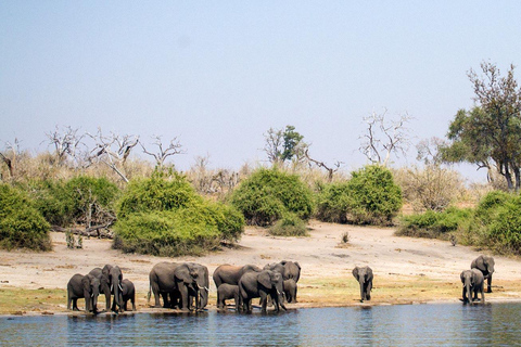 Viagem de um dia ao Chobe (Botsuana)