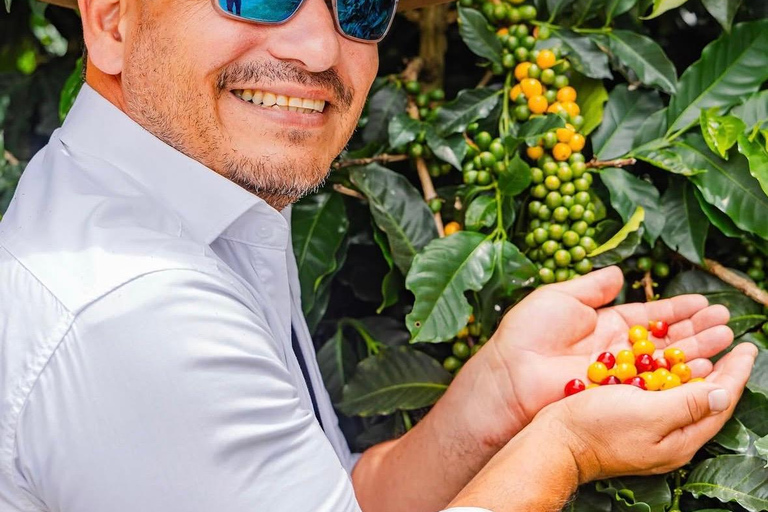 Boquete: Geisha Coffee Plantation Tour with Tasting