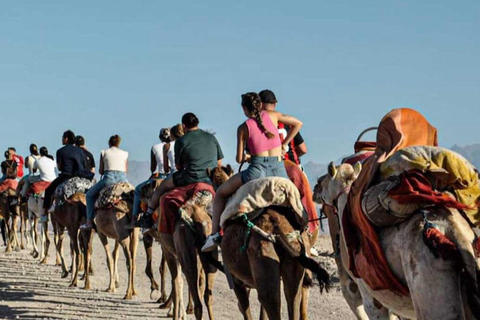 Marrakech: Agafay Desert Quad & Camel Rides with Dinner Show