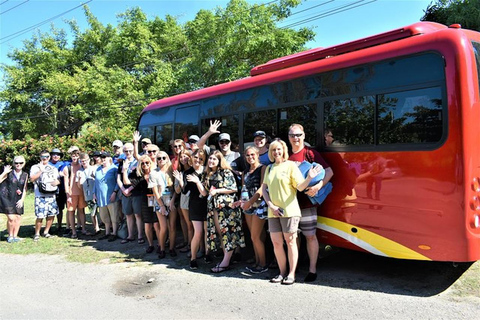 Negril: Safari por el río Negro y excursión a las cataratas YS con almuerzo