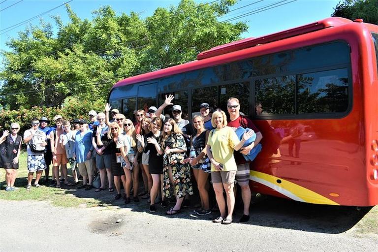 Negril: Safari por el río Negro y excursión a las cataratas YS con almuerzo