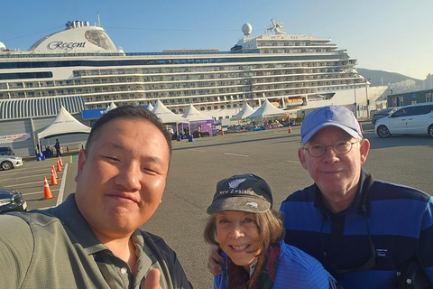 Busan: Private Shore Excursion with Licensed Local Guide