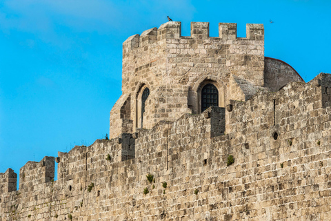 Rhodes Old Town Small-Group Walking Tour with a Guide Walking Tour + Hotel Pickup & Drop off (Faliraki, Ialysos)