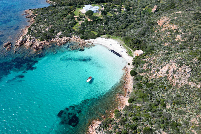 Porto San Paolo: Half Day Boat Tour to Tavolara and Molara