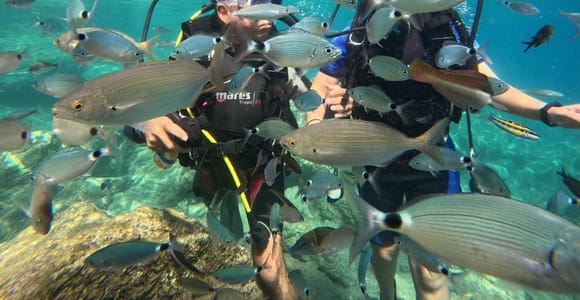 Marmaris: Full-Day Scuba Diving Trip with Lunch & Pickup