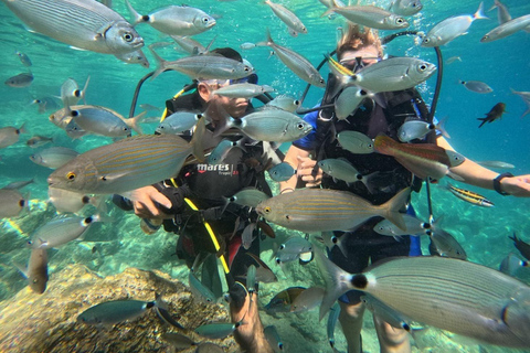 Marmaris: Full-Day Scuba Diving Trip with Lunch & Pickup Scuba Diving Experience (Meeting Point)