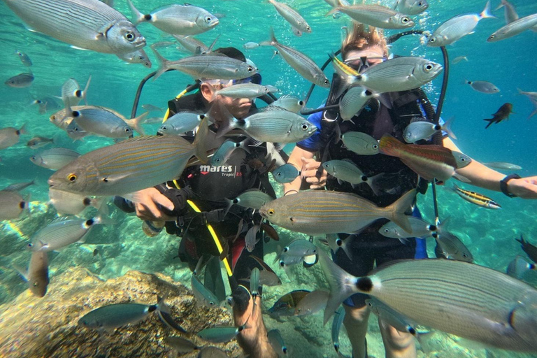Marmaris: Full-Day Scuba Diving Trip with Lunch & Pickup Scuba Diving Experience (Meeting Point)