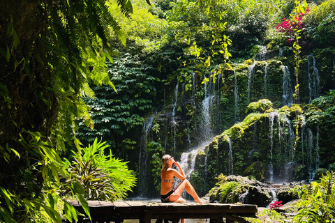 Bali: Waterfall in the forest & twin lake view tour