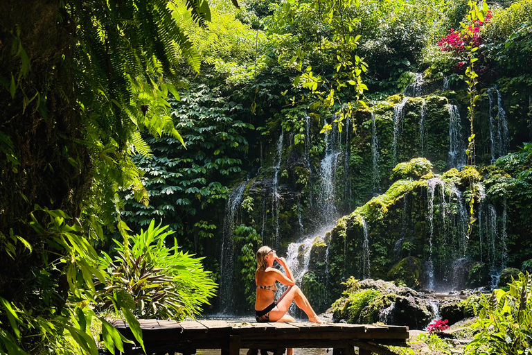 Bali: Waterfall in the forest & twin lake view tour