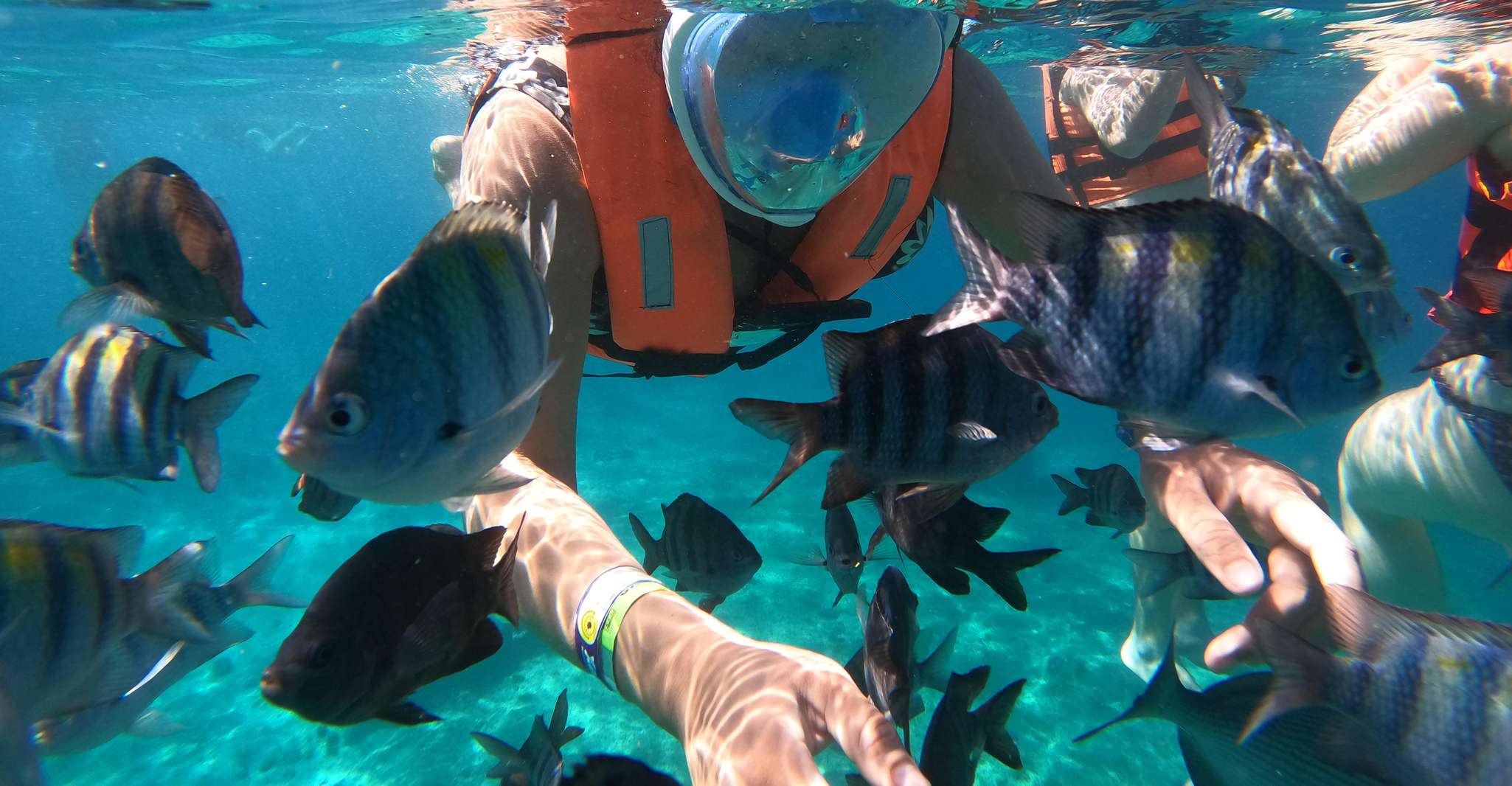 Invisible Boat Snorkeling Adventure in Cozumel - Housity