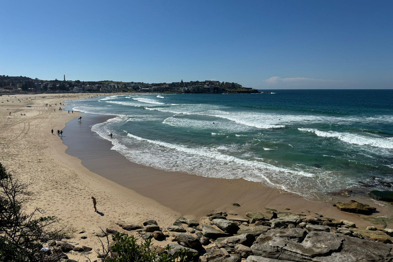 Excursión de 1/2 día por Sídney y Bondi Beach