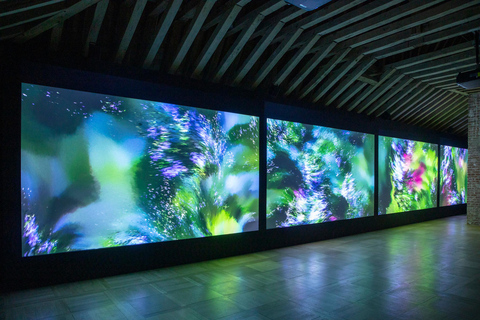 Chaumont-sur-Loire: Domaine of Chaumont Skip-the-Line Ticket