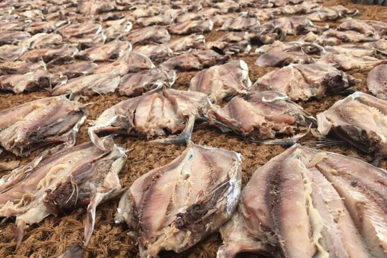 Negombo: Privé stadstour met aanpasbaar reisschemaNegombo: Privé Stadstour Premium