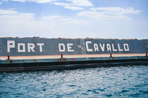 Santa Teresa: Speedboottocht rond Lavezzi en Piana-eiland