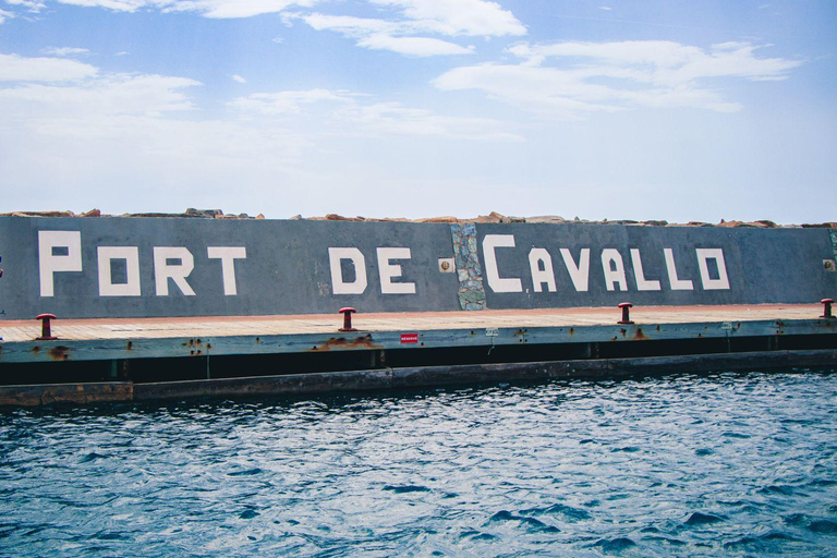 Santa Teresa: Speedboottocht rond Lavezzi en Piana-eiland