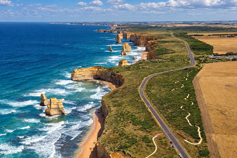 Melbourne: Great Ocean Road Tour, 12 Apostles & Apollo Bay Melbourne CBD Meeting Point (Max 50 guests)
