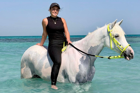 Hurghada: Swimming & Horse riding with FREE Photos & Videos 2-Hour Horse Swimming & Photos with Transfer