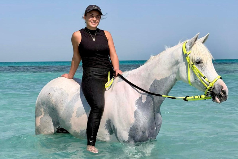 Hurghada: Swimming & Horse riding with FREE Photos & Videos 2-Hour Horse Swimming & Photos with Transfer