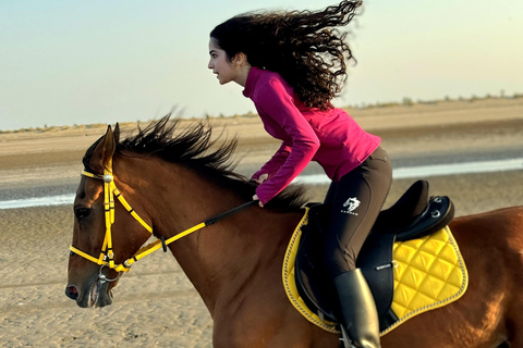 Equitazione a Muscat | Equitazione in spiaggiaMuscat: esperienza di equitazione sulla spiaggia di Al Sawadi