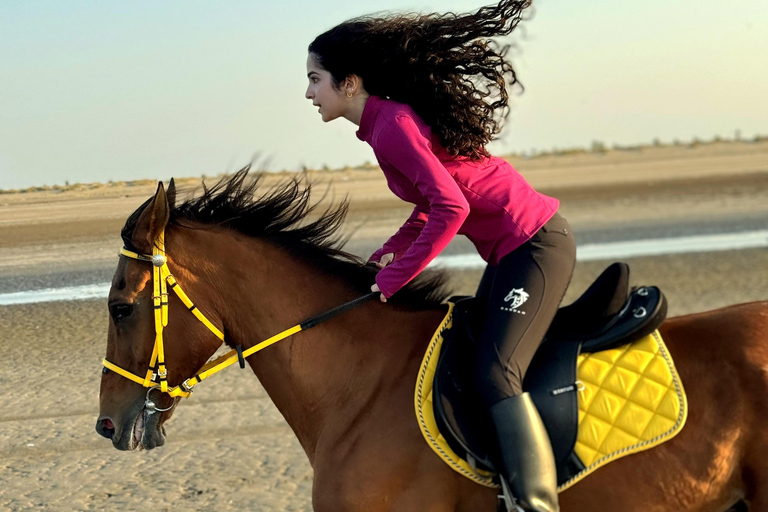 Equitazione a Muscat | Equitazione in spiaggiaMuscat: esperienza di equitazione sulla spiaggia di Al Sawadi