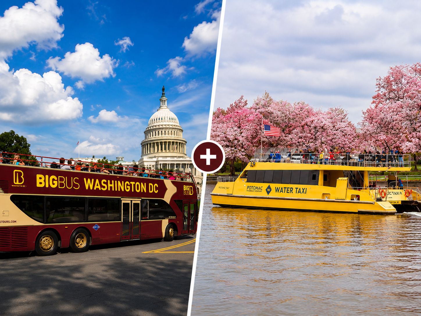 DC: Unbegrenzter Wassertaxi-Pass & Hop-On/Hop-Off-Bustour