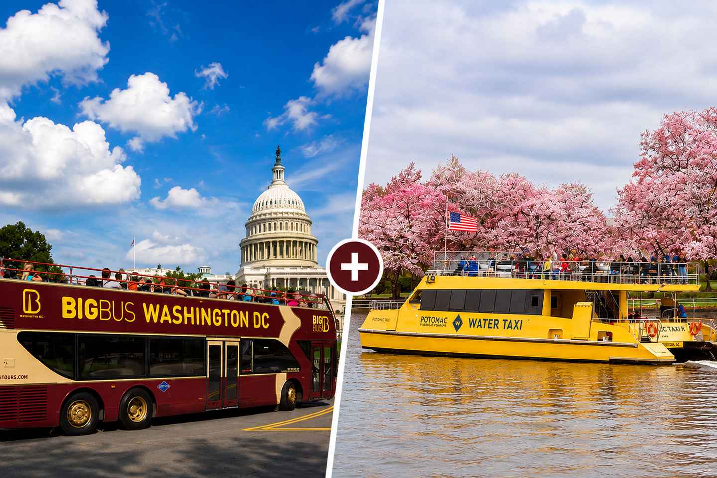 DC: Unlimited Water Taxi Pass & Hop-on Hop-off Bus Tour - DC: Unlimited Water Taxi Pass & Hop-on Hop-off Bus Tour