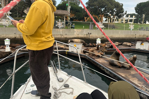 Los Angeles: Marina del Rey Kreuzfahrt auf einem klassischen Segelboot