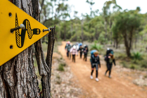 Perth: Mount Cooke vandring med övernattning