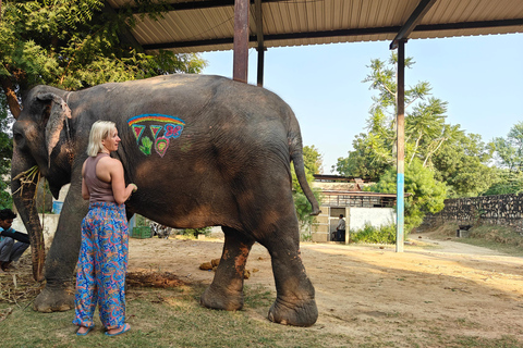 Jaipur: Full-Day Pink City Tour with Masala Tea Tour by Car and Driver with a Guide