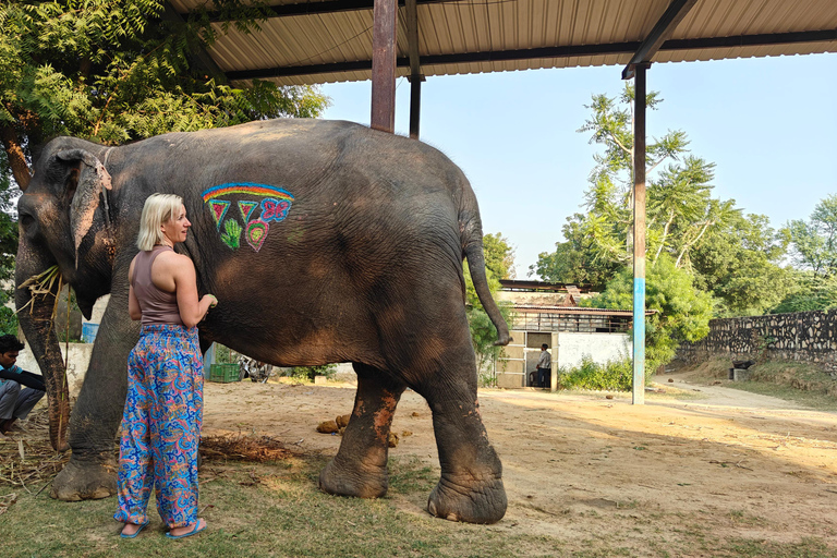 Jaipur: Full-Day Pink City Tour with Masala Tea Tour by Car and Driver with a Guide