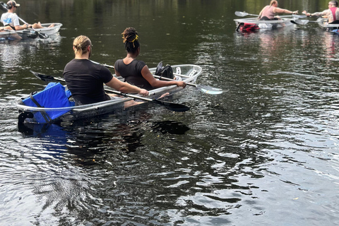 Gilchrist Blue: Clear Kayak Eco Tour