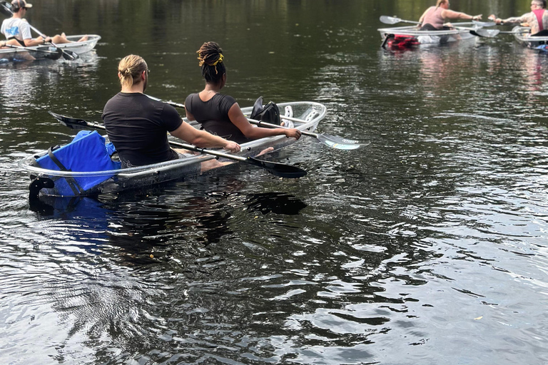 Gilchrist Blue: Clear Kayak Eco Tour