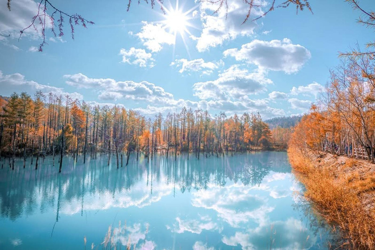 Sapporo: Asahiyama Zoo, waterval en Blue Pond Tour8:10 uur: ontmoeting bij de noordelijke uitgang van JR Sapporo Station