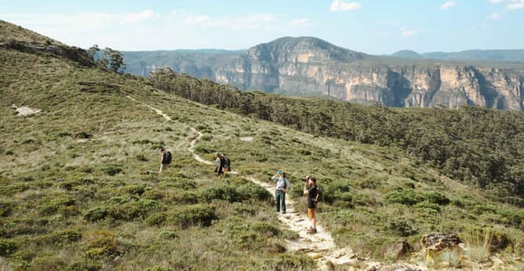 Unsere private Luxus-Tour in die Blue Mountains | Ab Sydney