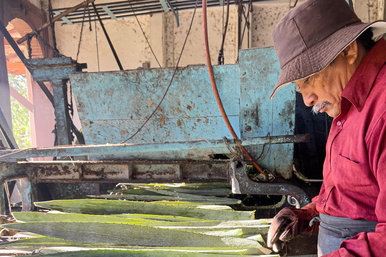 Mountain Biking in the Mayan Jungle / Visit Cenotes / Hacienda