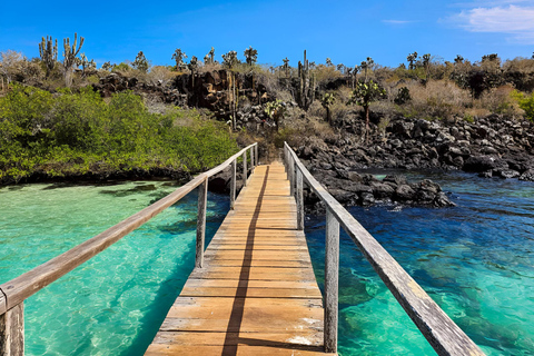 3 visites d&#039;une jounée dans l&#039;archipel des Galápagos