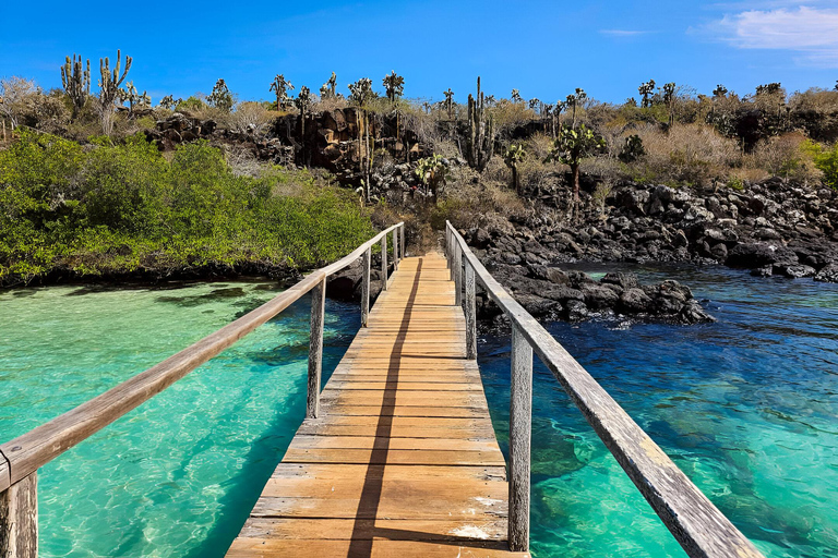 3 ongelooflijke dagvullende tours in de Galapagos Archipel