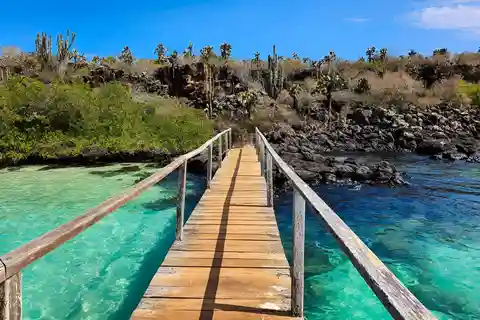 I 3 MIGLIORI TOUR DELLE GALAPAGOS: LE MIGLIORI ESCURSIONI E LE MIGLIORI ESPERIENZE DI SNORKELING