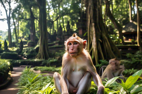 Ubud Tour: Monkey Forest, Tegalalang Rice Terrace, & temple