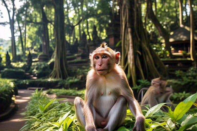 Ubud Tour: Monkey Forest, Tegalalang Rice Terrace, & temple