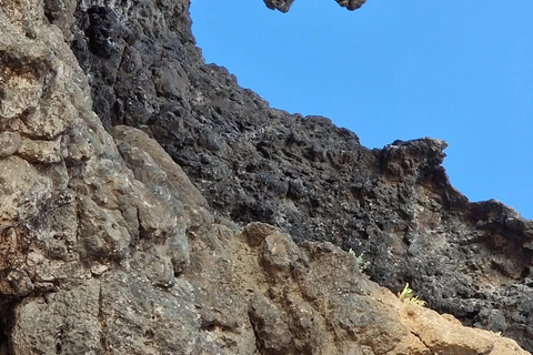 塞拉莱：乳香之路、骆驼农场和海滩之旅