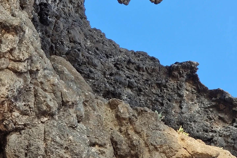 塞拉莱：乳香之路、骆驼农场和海滩之旅