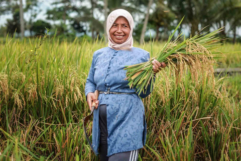 Yogyakarta: Bike Tour, Pottery, Ricefield, Museum With Lunch Bike, Pottery Class, Rice fields, Museum (No Lunch)