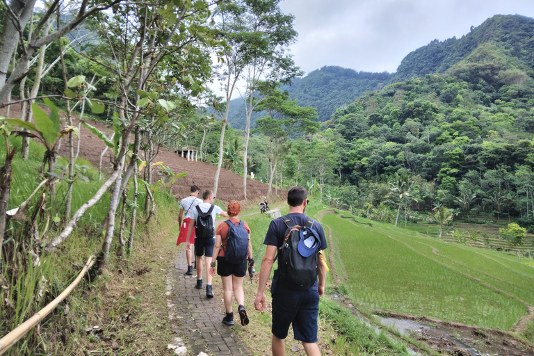 Borobudur-tempel en rijstterras Wandelen naar de Selogriyo-tempel