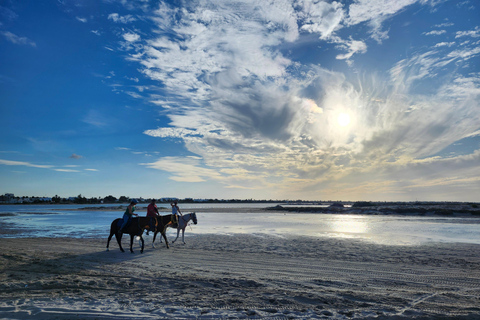 Djerba: Ride to the Pink Flamingo Peninsula by Electric Bike