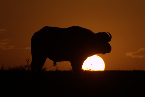 Overnight Group Safari to Amboseli National Park