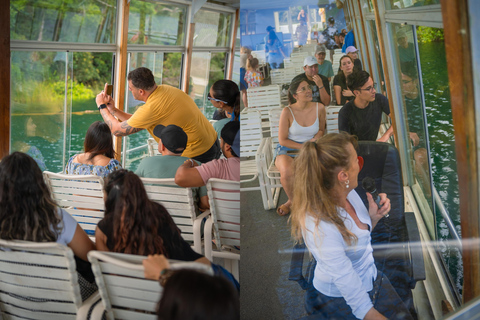 Lake Barrine Boat Cruise – Discover Queensland’s Hidden Gem