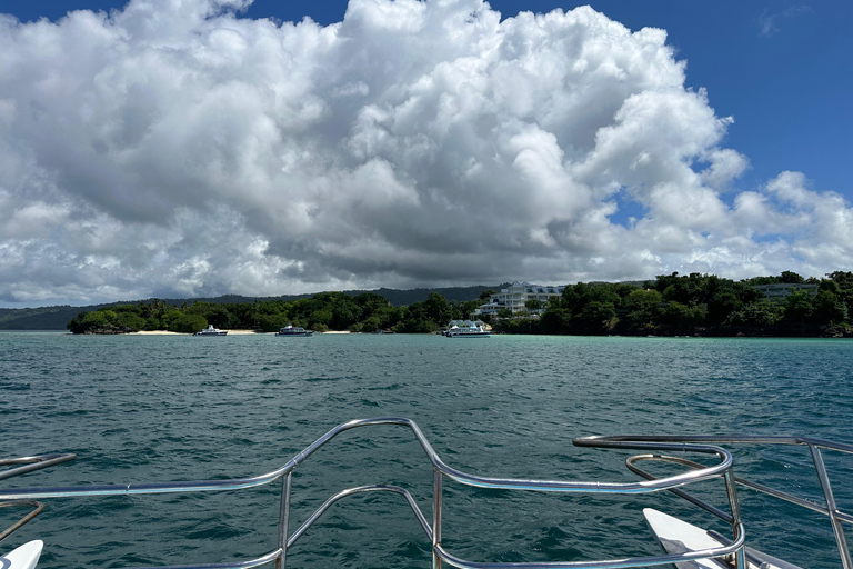 Rincon Beach och Cayo Levantado från Punta Cana