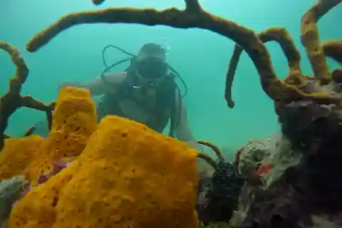 Under the depths: Dive into the diving adventure